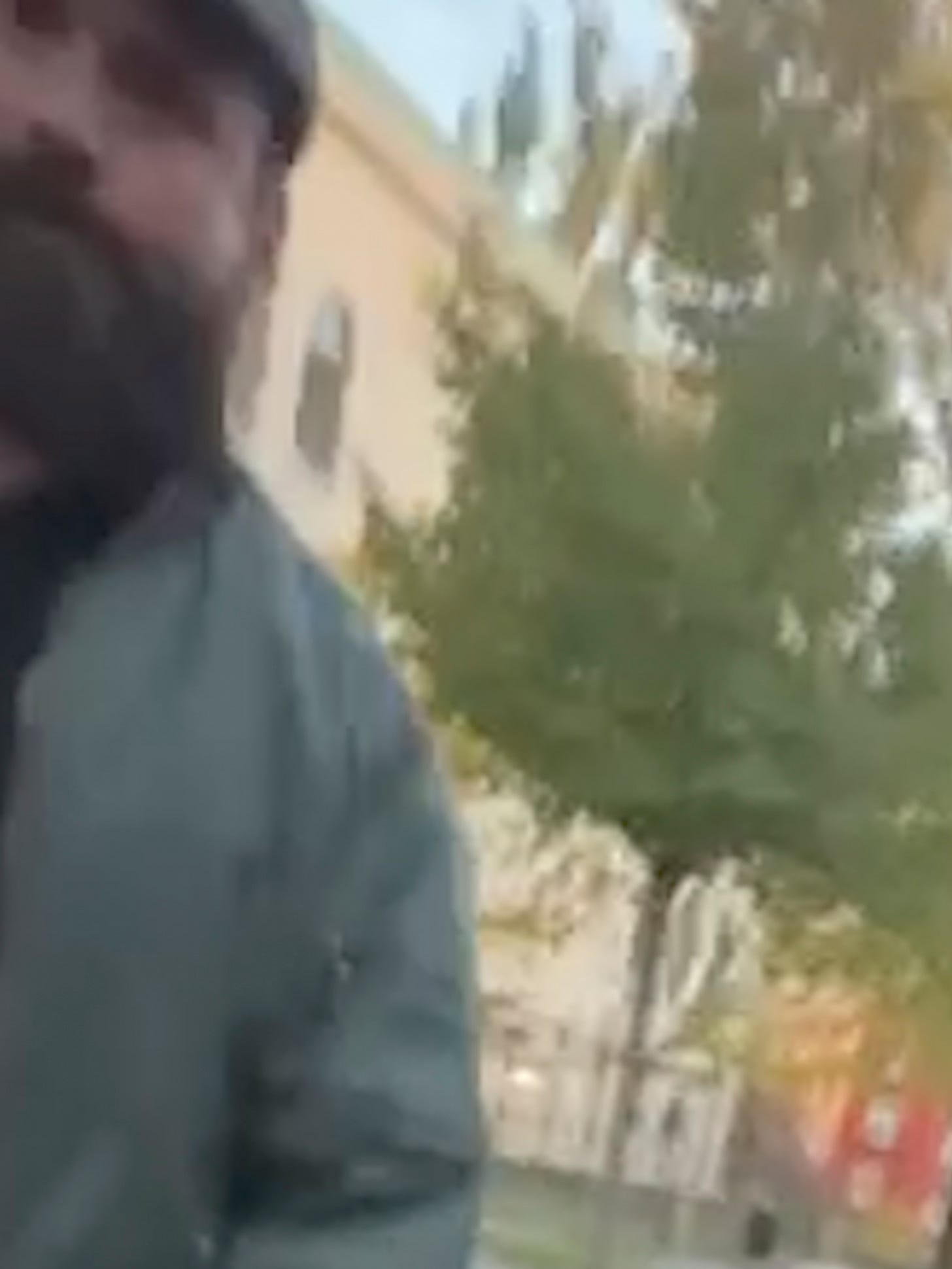 Hjalmar Hagström AFA Antifa