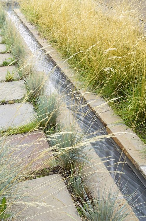 garden rill