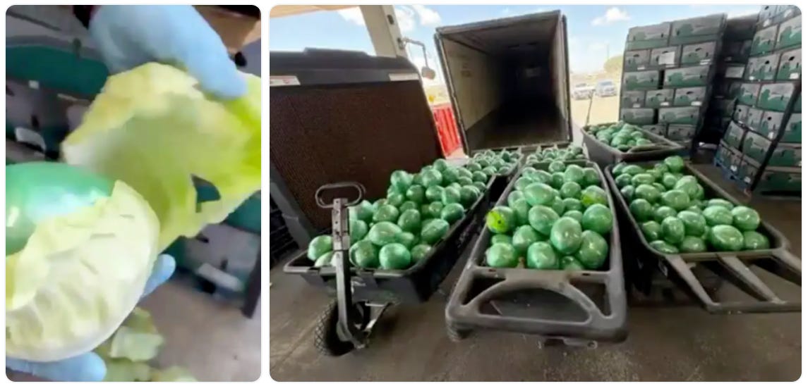 Mexican cartel smugglers wrapped green bundles of meth in cabbage leaves in a failed attempt to fool border agents in McAllen, Texas.(US Drug Enforcement Administration photos)
