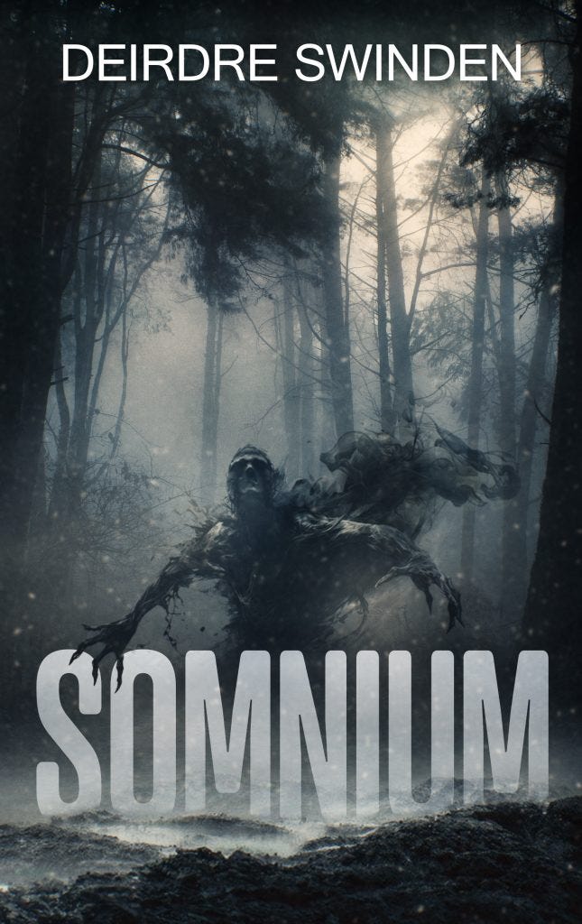 This image has an empty alt attribute; its file name is somnium_cover-645x1024.jpg