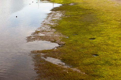 A photo essay made near the Colorado Lagoon in Long Beach, California