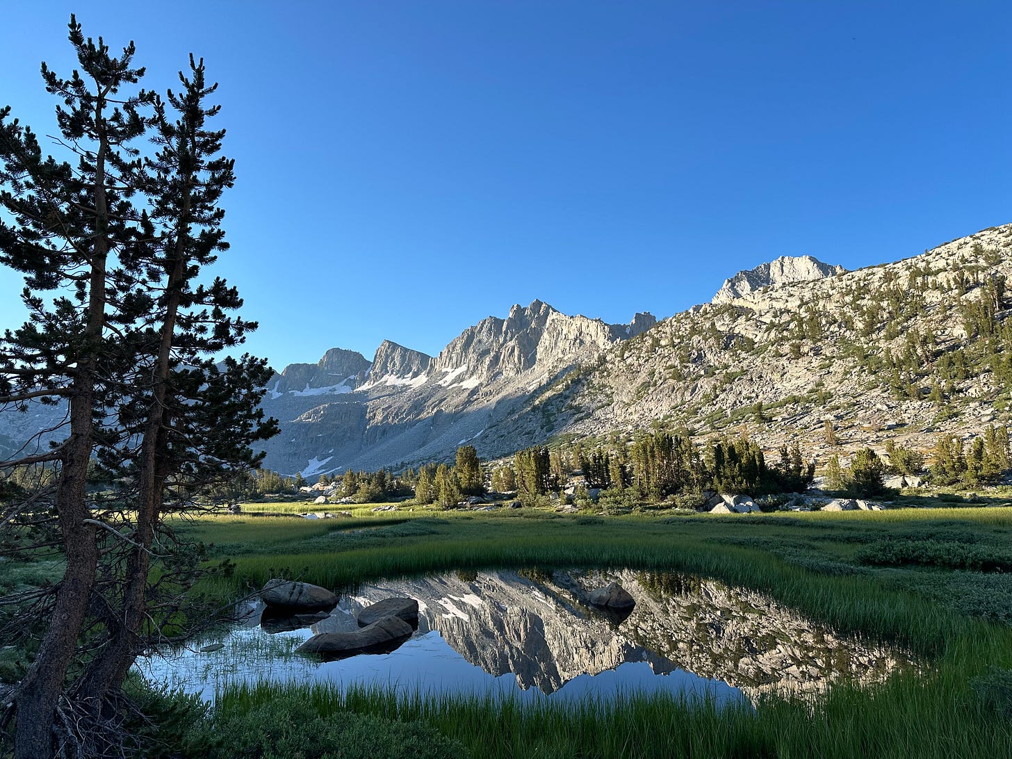 A photo of a small pond reflecting the image of large granite rocks in Sierra Nevadas in California. The sky is clear and blue in the background and there are two pine trees in the foreground on the left. A large sweeping grassy meadow and trees are speckled at the base of the mountains.
