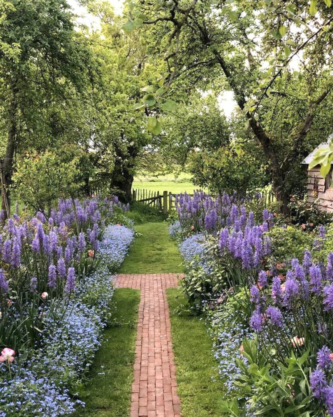 Zone 10 Flowers That Feel Like You're In An English Garden
