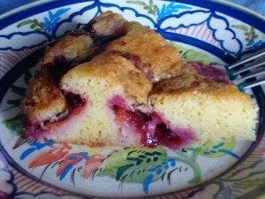 Serving of Plum Torte by Greg Patent: The Baking Wizard