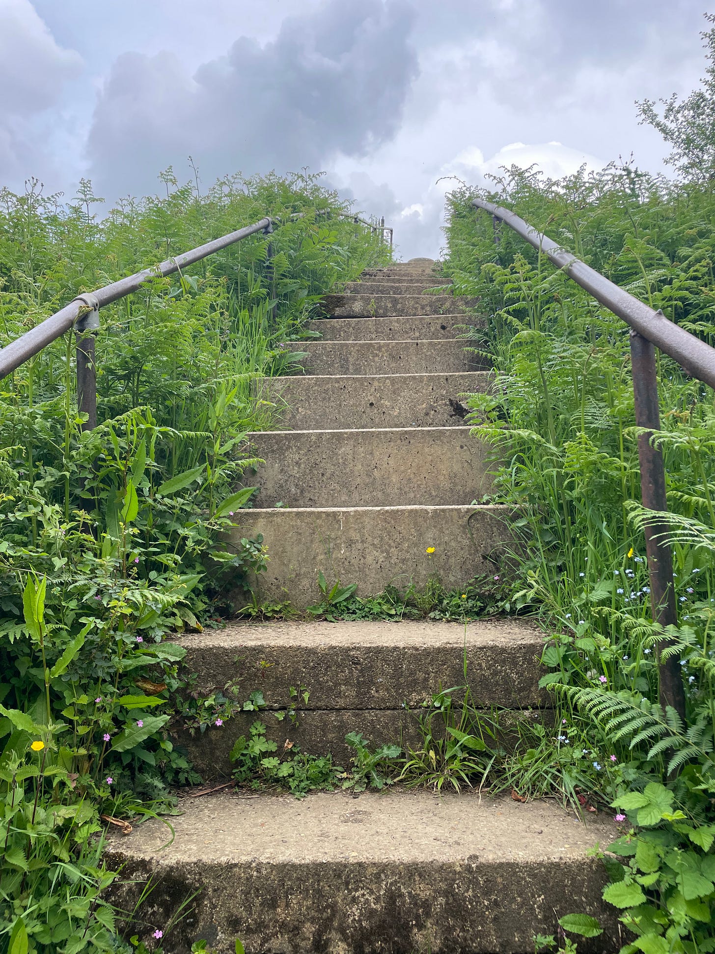 concrete steps leading up a hill