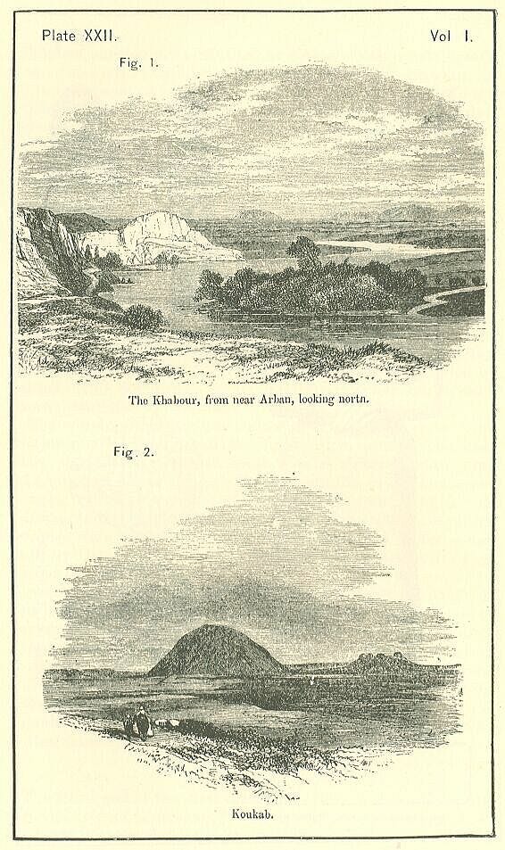 Plate 22
Plate 22