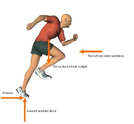 Free body diagram