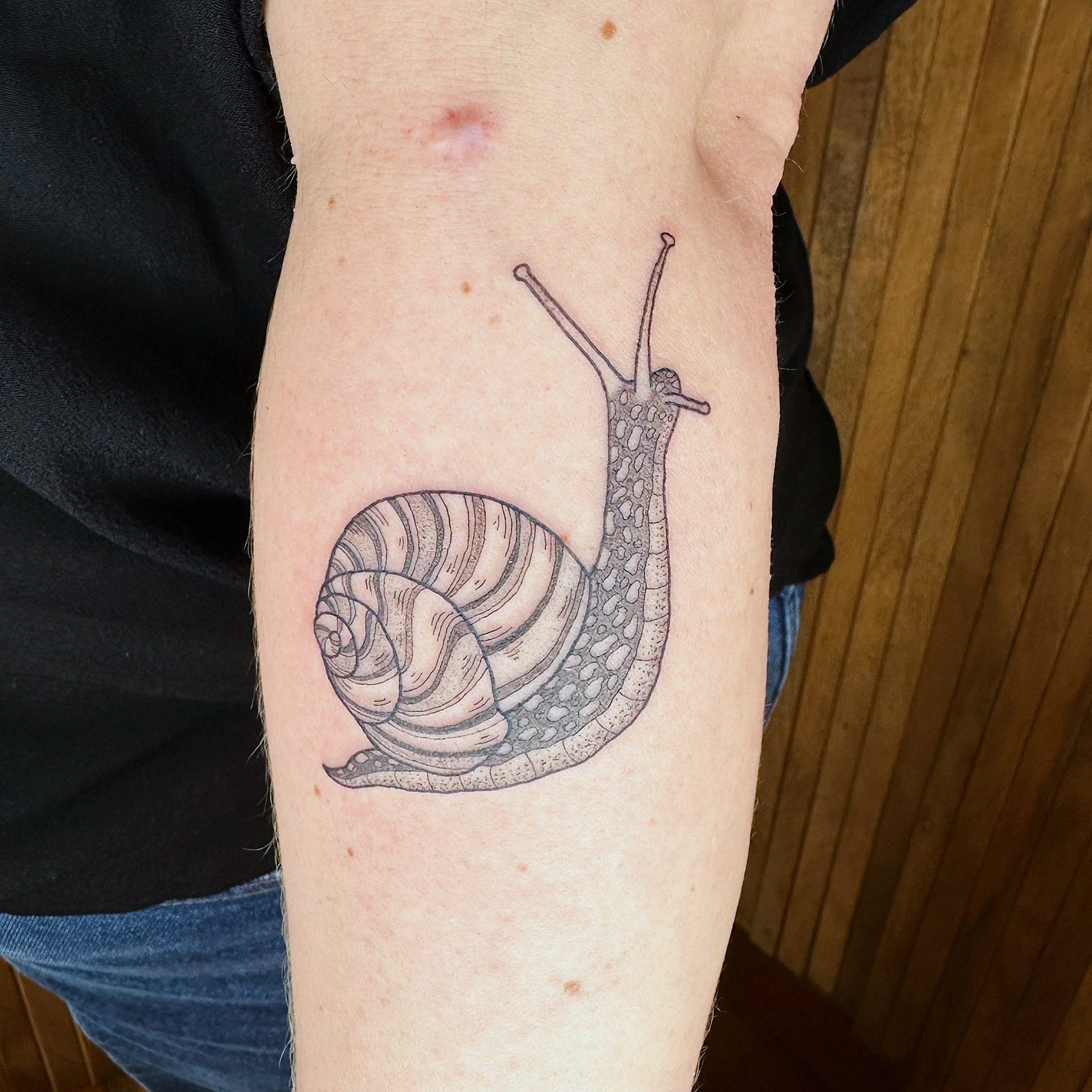 photo of my snail tattoo, which is on my left forearm just below my elbow. The tattoo is all black ink and it is an illustration of a garden snail.