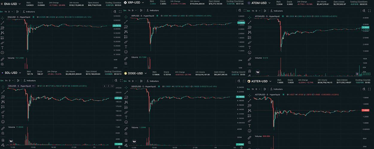 No alternative text description for this image