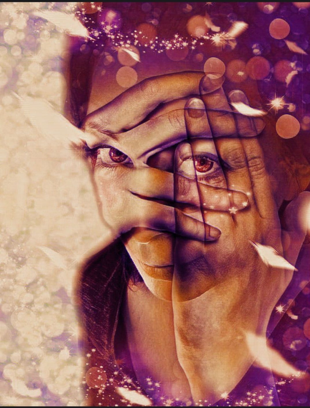 Stéphanie’s Newsletter