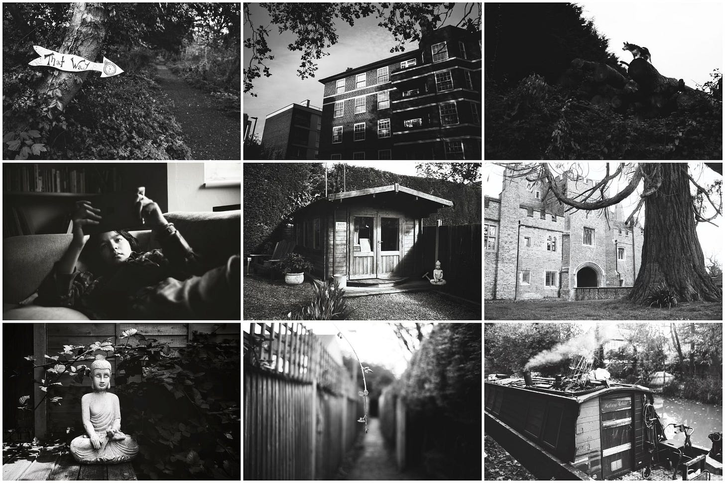 A series of nine photographs taken with Ferfania P30. There's a sign post shaped like an arrow saying 'this way' in the woods, some flats lit in the evening sun (this is my favourite photo), a barking dog standing on a huge pile of wood, my daughter relaxing with an iPad, my shed, a large tree that no longer exists outside a palace, Buddha sitting peacefully outside my shed, a bramble hanging face height above and out of focus pathway, and a Canal Boat emanating smoke from a wood woodburning stove on a cold day.
