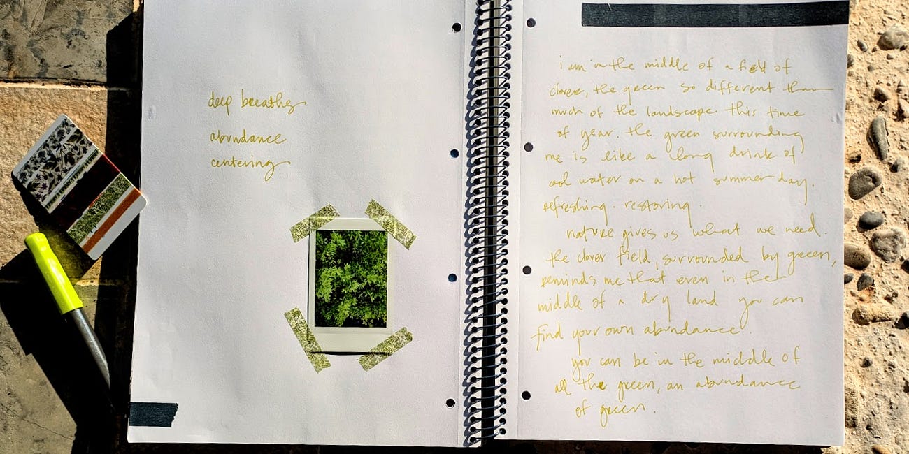 month in review: october is for nesting