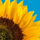 Issue #75 - Learning Paradigms in LLMs