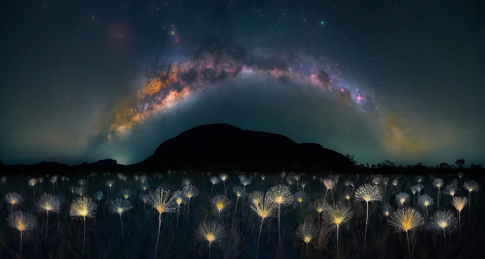The Nature Photography Contest Winners 08