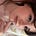 Avatar de liv