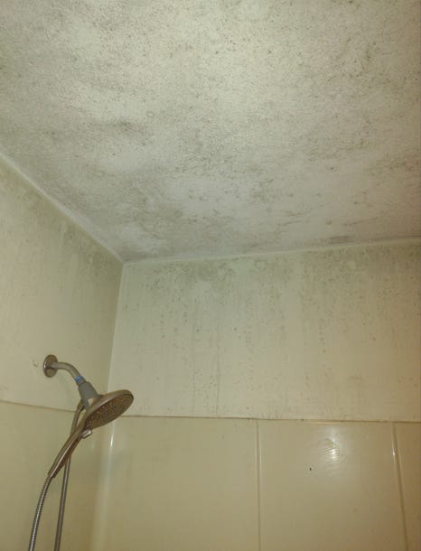 Moldy bathroom ceiling and walls. Moldy bathroom ceiling and walls.