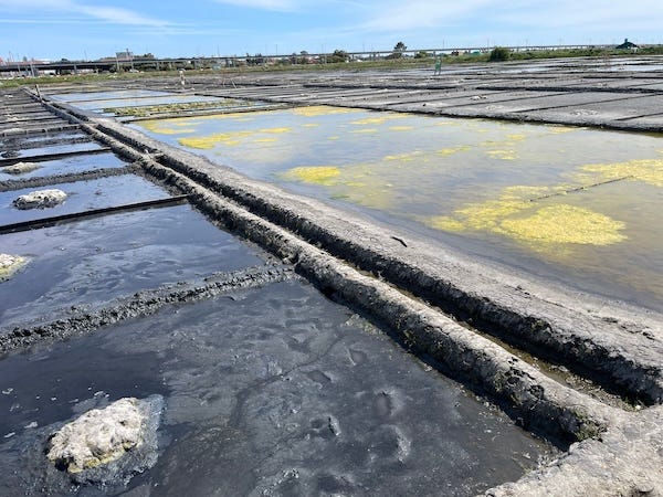 Two photos of salt pans on the left the pans have algae and are in a larger grid pattern. On the right they are in the smaller pattern of crystallization ponds -- there is very little to no water in them.