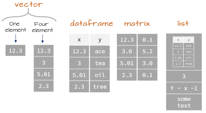 Data Object Type and Structure