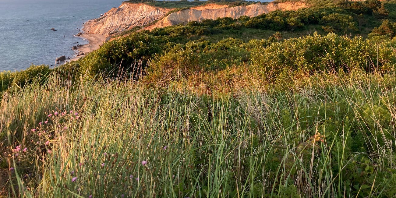 ℹ️ The MVacay Guide: How to get to Martha's Vineyard for Beginners
