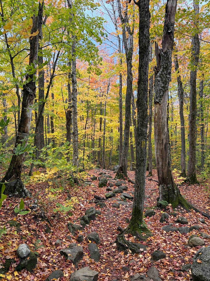 two hikers at an overlook of Franconia Ridge and path through the trees with leaves covering the trail