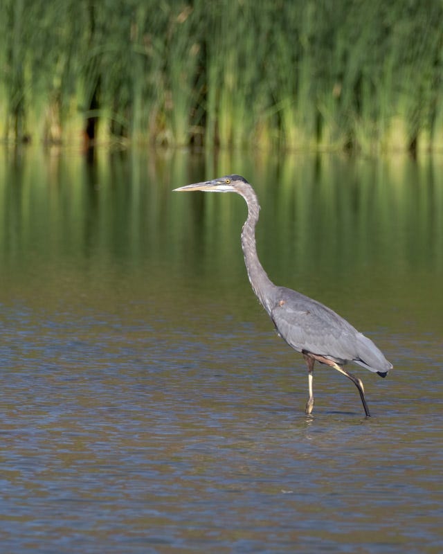 20250818-ElRio-176-Edit.jpg 20250818-ElRio-176-Edit.jpg