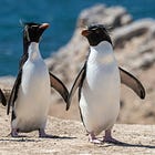 רוקהופר: עדכון אוקטובר 2025