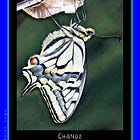 Six Archetype: Nature Octave