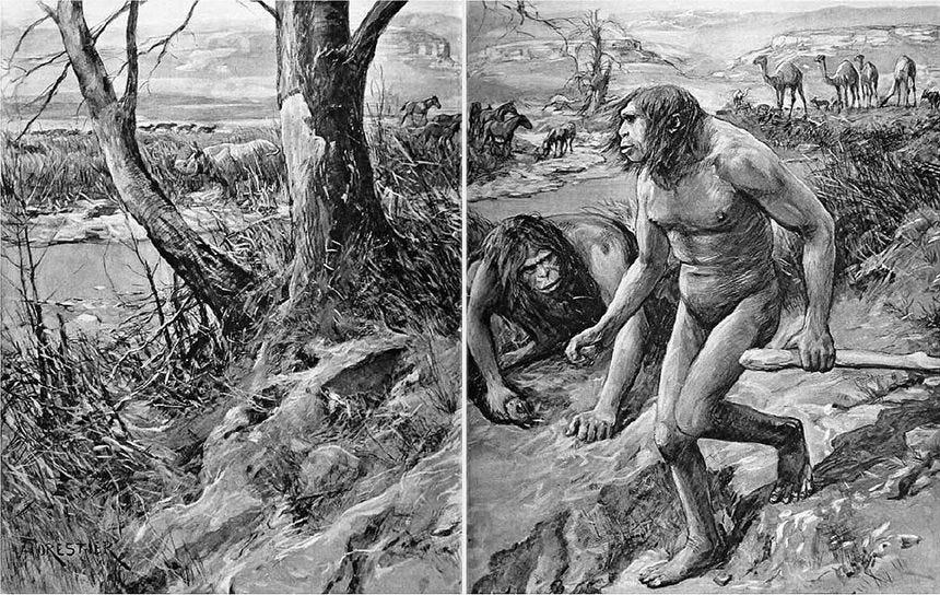 Nebraska Man - Wikipedia