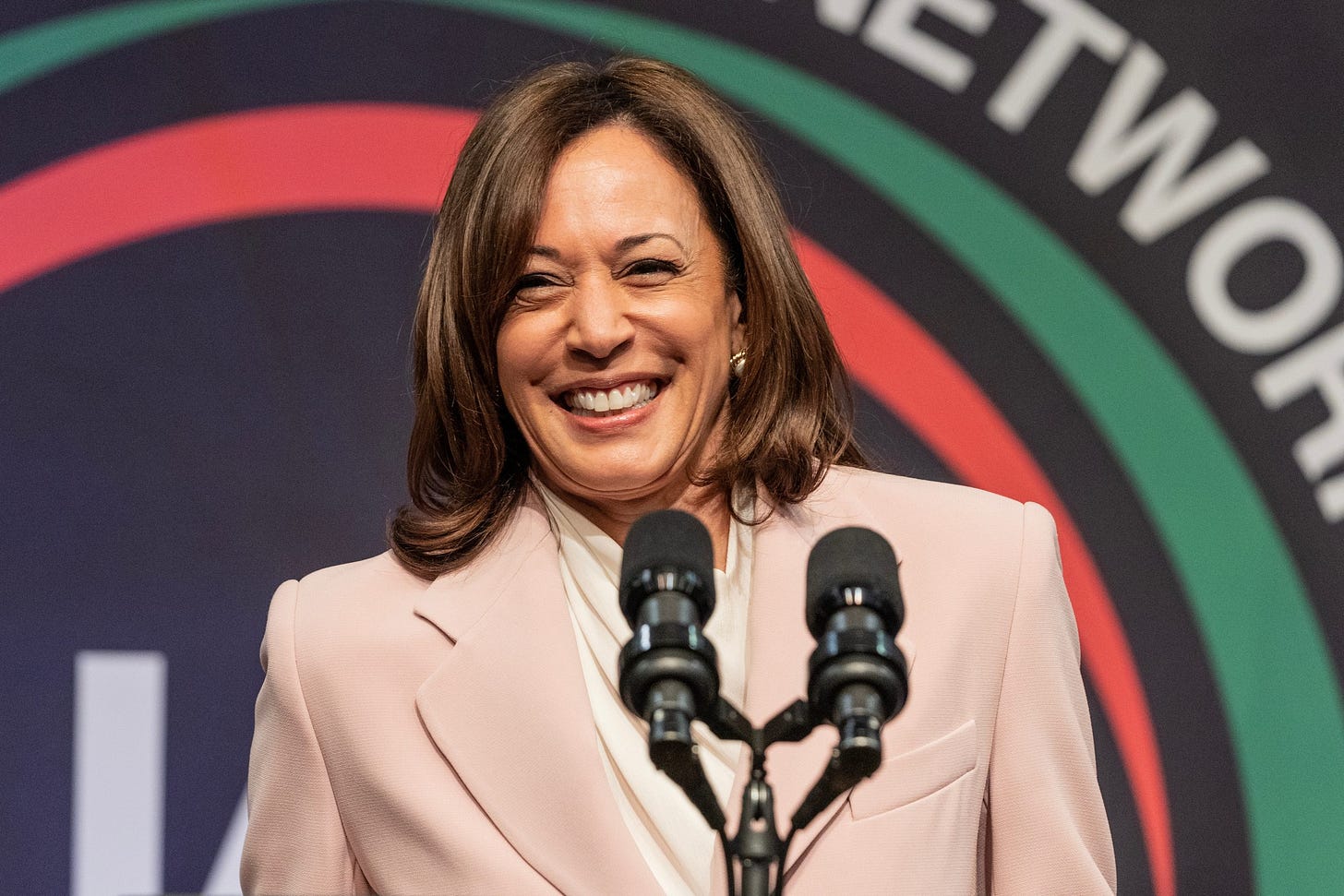 Kamala Harris. Photo: Lev Radin/Shutterstock Kamala Harris. Photo: Lev Radin/Shutterstock