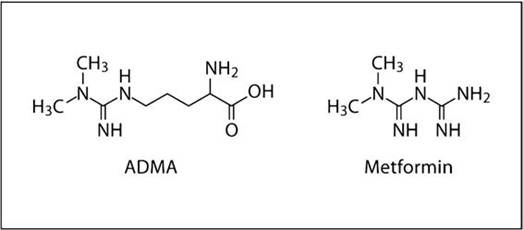 A chemical formula of a molecule