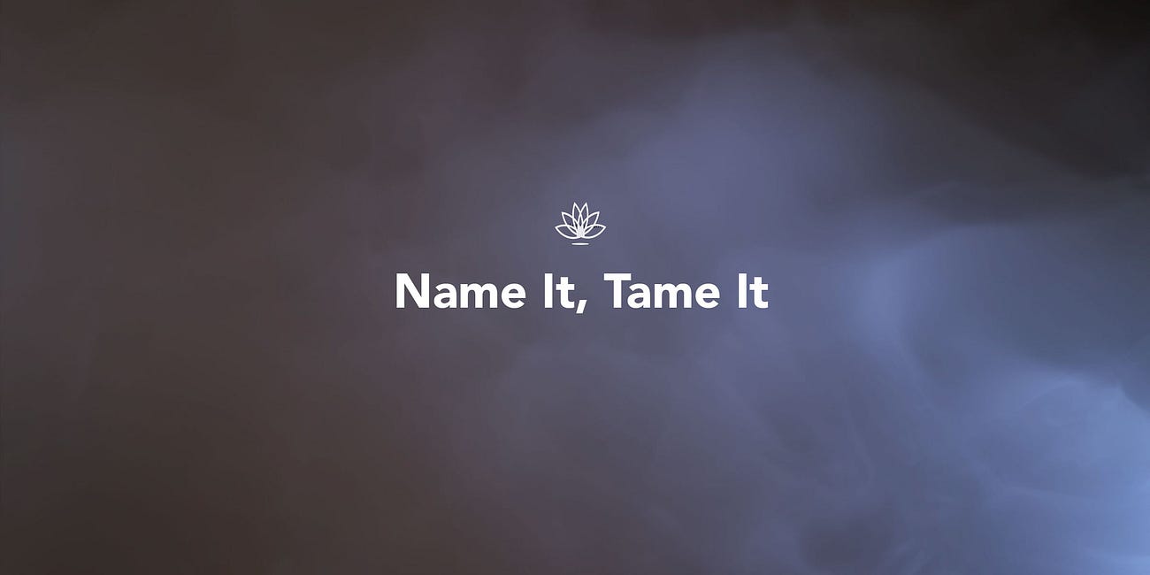 Name It, Tame It