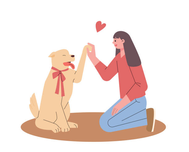 240+ Dog Greeting Owner Stock Illustrations, Royalty-Free Vector Graphics &  Clip Art - iStock | Dog greeting owner at door