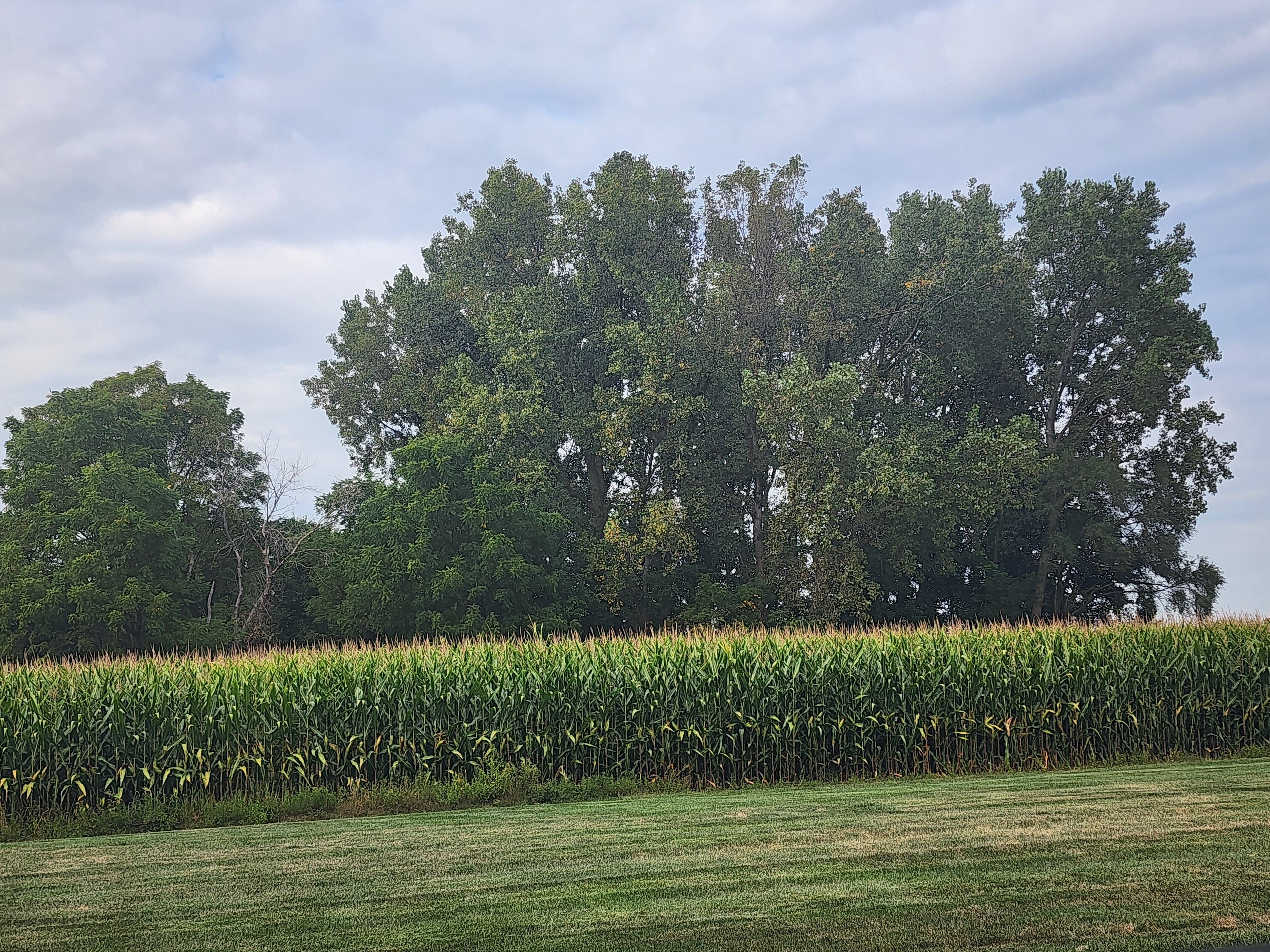 New London roundup village updates council police log obits