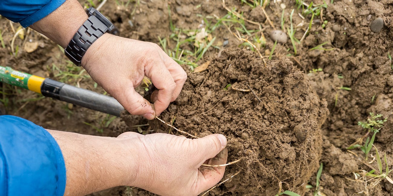 Regenerative Landwirtschaft in 10 Punkten erklärt und im Vergleich mit IP-Suisse, Bio & Demeter