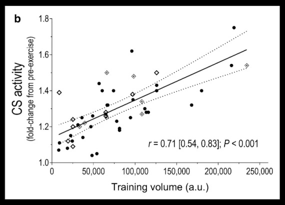 Effective marathon training presentation-Total-amount-of-time-running