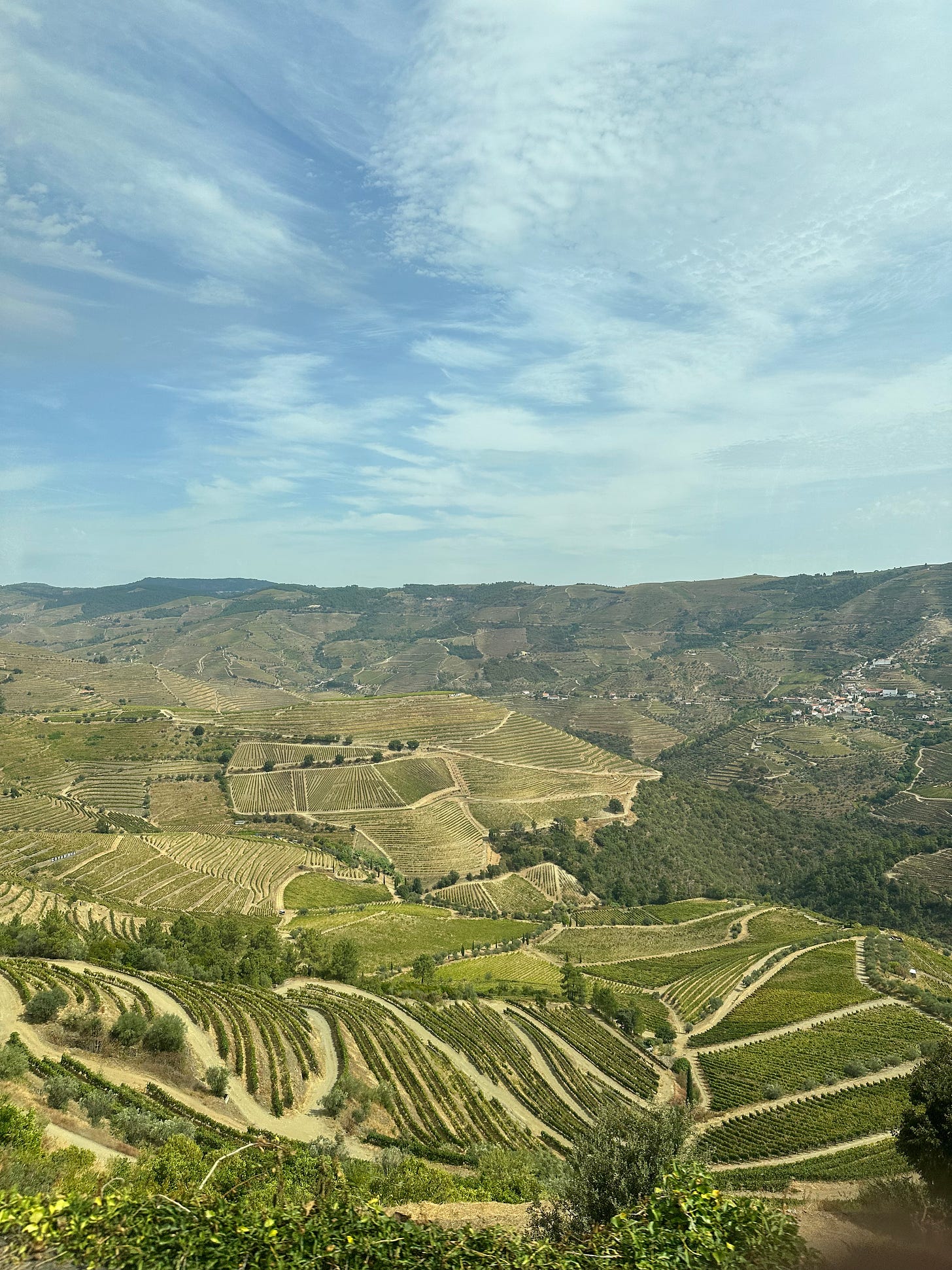 terraced vineyards of Douro Valley