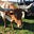 Texas Teri's avatar