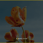 Winner of Photo Challenge - Week 9 - Spring
