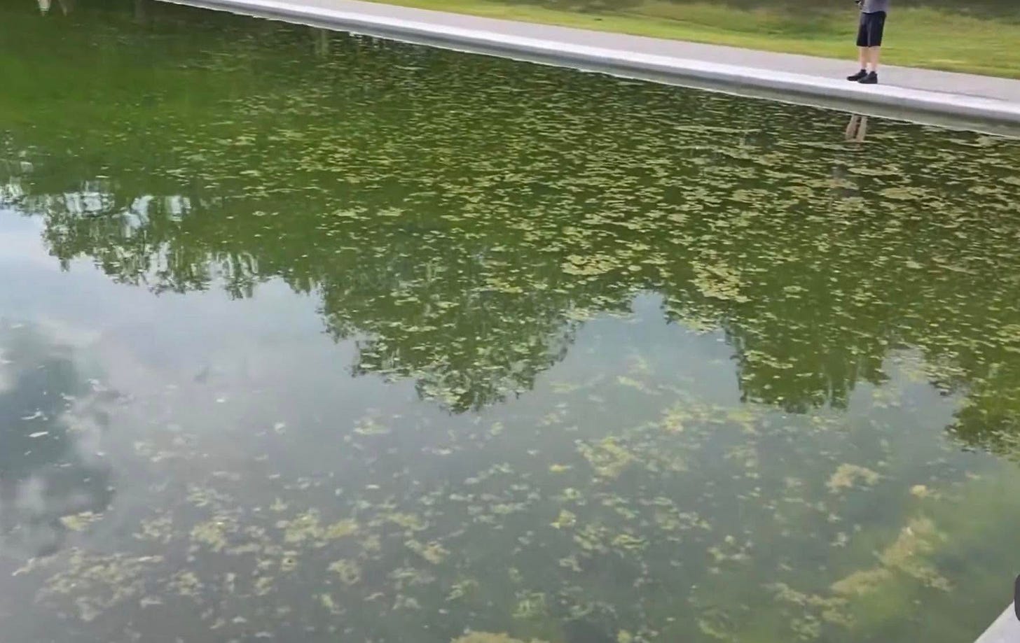 May be an image of body of water May be an image of body of water