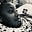 Damion Finlayson's avatar