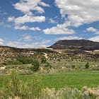 Lamenting the McElmo effect and loss of irrigation-landscapes in an era of aridification