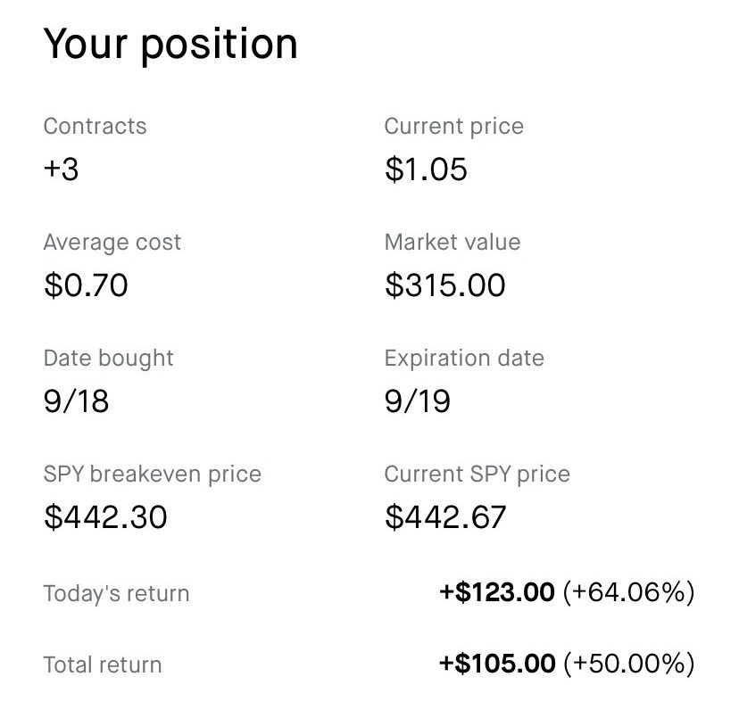 option position basic view on robinhood
