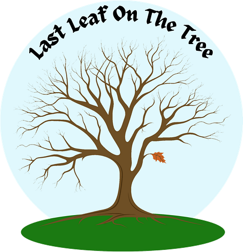 T-shirts available in Unisex styles