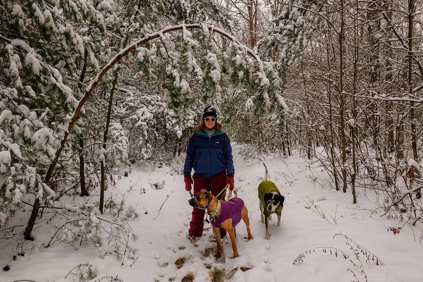 Woman in the snow with two dogs.