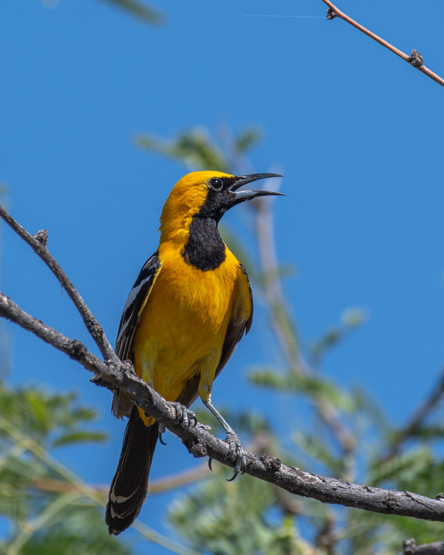 20200614_MBY-38.jpg 20200614_MBY-38.jpg