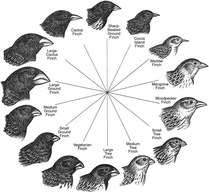 Darwin's Finches: Readings In The Evolution Of A Scientific, 45% OFF