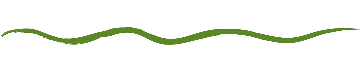 A green snake on a white background

AI-generated content may be incorrect.