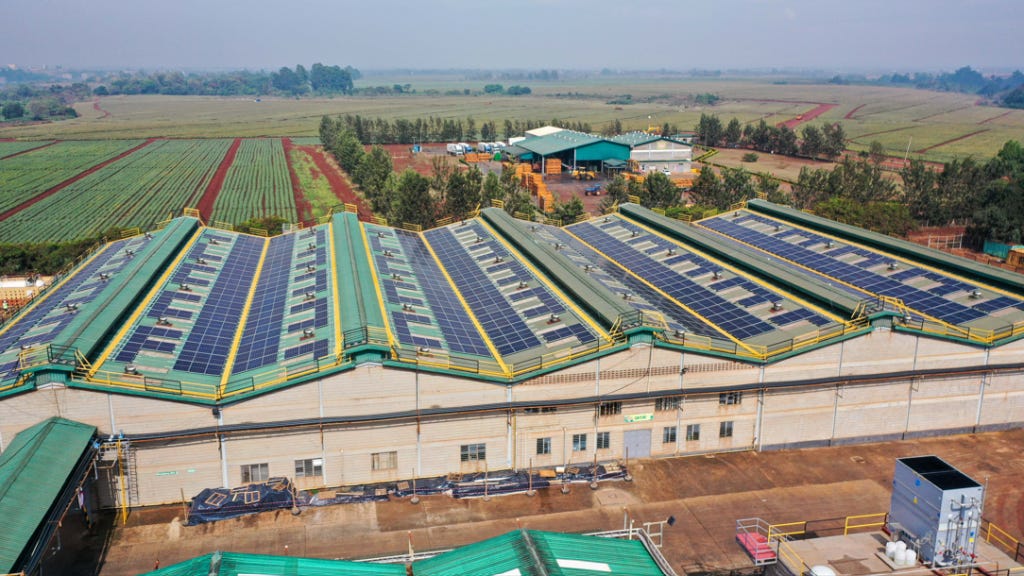 Del Monte Kenya Partners with BECS to Commission Major 807kW Solar Power Plant - BECS Del Monte Kenya Partners with BECS to Commission Major 807kW Solar Power Plant - BECS