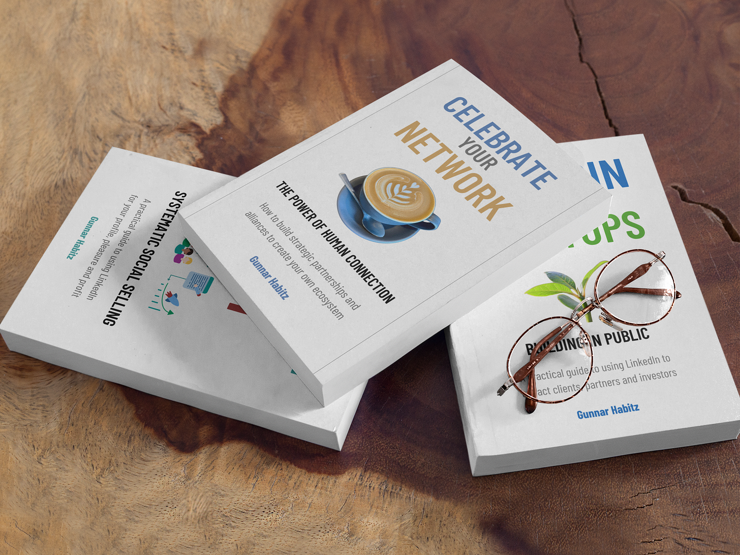 Connect & Act, LinkedIn for Startups, Celebrate Your Network