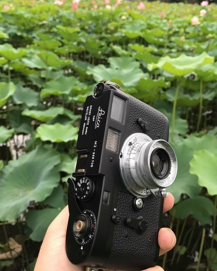 我为什么喜欢相机